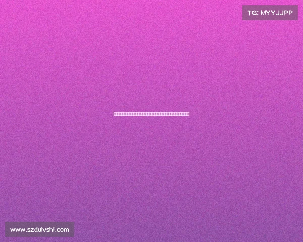 以克莱蒙为核心探讨法国中部历史文化发展与现代化进程的互动影响